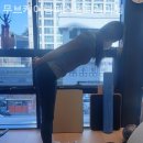 무브케어랩 퍼스널트레이닝 | 사당헬스 무브케어랩퍼스널트레이닝 헬스장추천이유