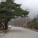 원주길카페촌 네이버블로그