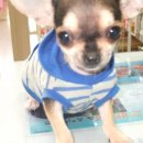 다나동물병원 이미지