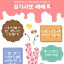 12로그 이미지