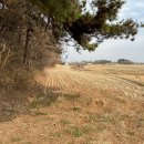 전대1리마을회관 이미지