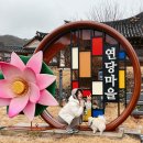 오로지 영덕 대게만을 위해 달려간 애견 동반 영덕 여행