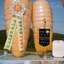 천마총각과 명이처녀 이미지