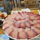 하모리-47 이미지