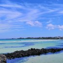 월정리에 이미지