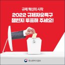 KOEIA(회장 이헌재)/2022 규제자유특구 챌린지 온라인 사전투표 이미지