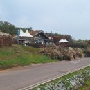 하늘공원 화장실 이미지