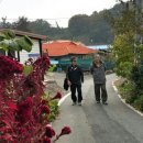 덕정리 경로당 이미지