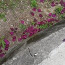 삼익대중목욕탕 이미지