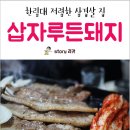 삽자루든돼지