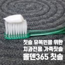 메디스타 | 칫솔 유목민을 위한 치과전용 가족칫솔 올덴365칫솔 리뷰