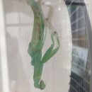 춘강 농장 이미지