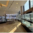 도그의 하루 이미지