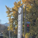 춘향로 | 전주 숨은맛집 발견! 오리주물럭 찐맛집 ‘은행나무가든’ 즉흥 방문 솔직 후기