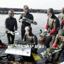 하예동-11 이미지