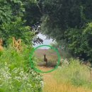 꿀벌태양광발전소 이미지