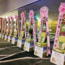 유아용품 '페도라(Fedora)' 론칭 기념 제품설명회 축하 드리미 - 쌀화환 드리미 이미지