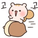본잉글리시학원