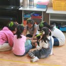 소라초등학교신흥분교 이미지