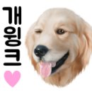 펫살롱지니 이미지