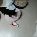 야! 놀자 PC 이미지