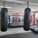 팀건복싱 이미지