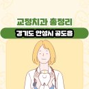 주은마트 | 경기도 안성시 공도읍 교정치과 총정리