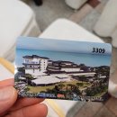 한국문화체육관광협회 | 2025 경기도 태권도 협회 하계 지도자 연수 &amp; 체육대회 남양주시 협회 소식