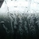 자유로주유소 이미지