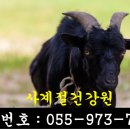 사계절건강원 - 김포시 서암고정로 126 | 사계절건강원