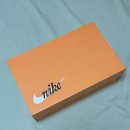 250 | 나이키 문슈즈 서밋 화이트 문슈 OG 250사이즈 후기