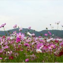 식영정 이미지