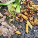 하나멜목장 이미지