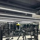 험블짐 발산본점 이미지