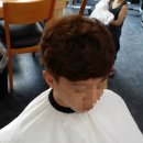 hair봄 이미지