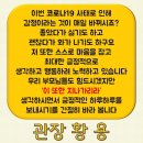 전진 태권도스쿨 네이버블로그