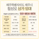 칠성로-1 이미지