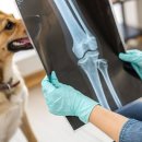 온동물의료센터 이미지