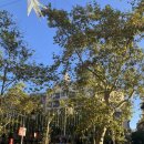 자유수호공원 | 2일차 [스페인 천재 건축가 가우디 투어 후기(카사 밀라, 카사 바트요, 구엘공원, 사그라다 파밀리아)]