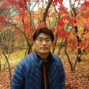 노란문약국 이미지