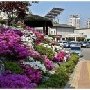 은평노인종합복지관 이미지