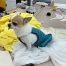 강남대로6길 12 이미지