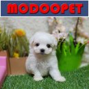 모두와샵 이미지