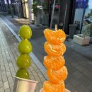 땡후루호암점 이미지