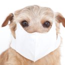 울산동물병원 이미지