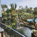 홍스랜드 이미지