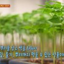 함결농장