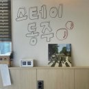 스테이동주 이미지