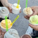 애견1번지 | 강릉 애견동반 맛집 감자적1번지 예약 필수