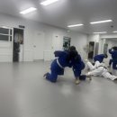 용인대안산유도체육관 이미지